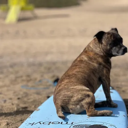 Casa Atom A Pochi Passi Dall'oceano *