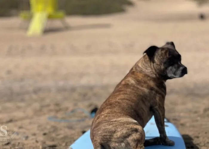 Casa Atom A Pochi Passi Dall'oceano * Corralejo