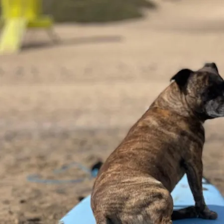Casa Atom A Pochi Passi Dall'oceano * Κοραλέχο